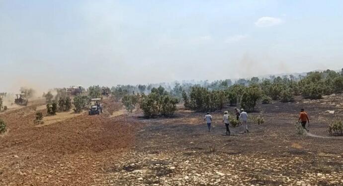 Yangınlara ilişkin ırkçı paylaşımlar hakkında suç duyurusunda bulunuldu