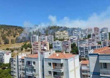 İzmir’de orman yangını