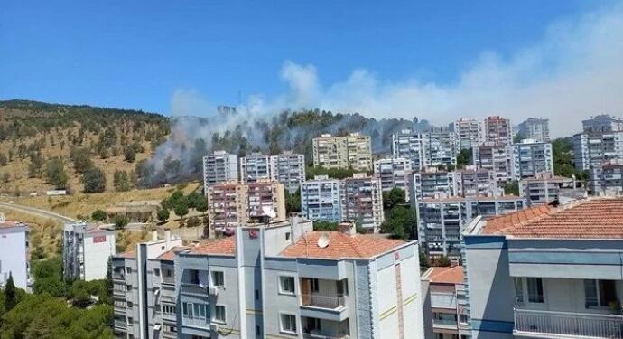 İzmir’de orman yangını