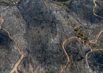 İzmir’de yangın 12 saat sonra kontrol altına alındı: 350 hektar kül oldu