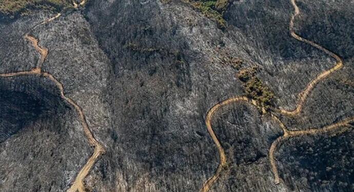 İzmir’de yangın 12 saat sonra kontrol altına alındı: 350 hektar kül oldu