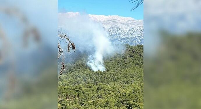 Manavgat’ta orman yangını