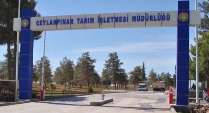 400’ün üzerinde işçi ve ailesi tatlıdan zehirlendi