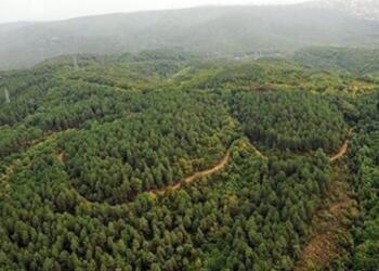 İzmir’de 26 ormanlık alana giriş yasaklandı