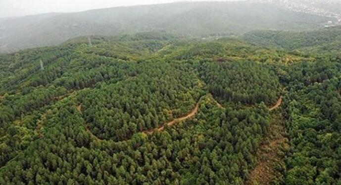 İzmir’de 26 ormanlık alana giriş yasaklandı