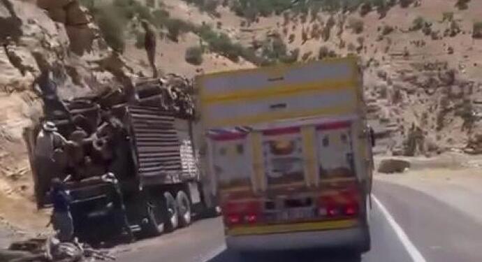 Elkê’deki ağaç kıyımı genişletilerek sürüyor!