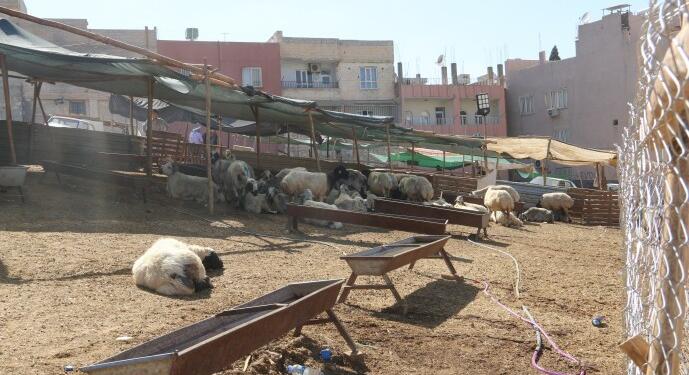 Bayram bitti besicilere borç kaldı