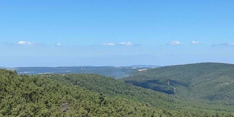 Çanakkale Lapseki’de orman yangını