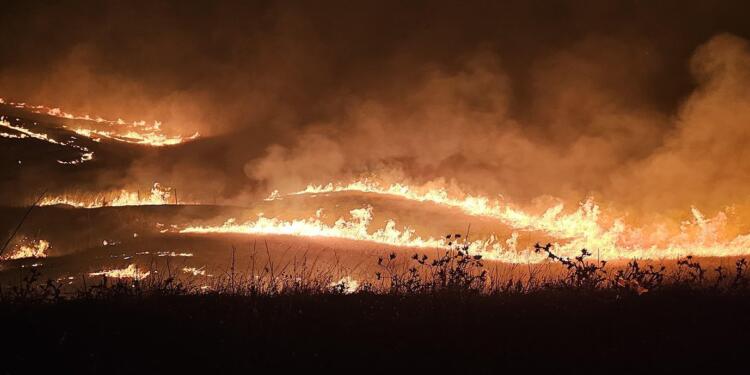 İçişleri Bakanlığı, yangınların çıkış nedenini hala tespit edememiş