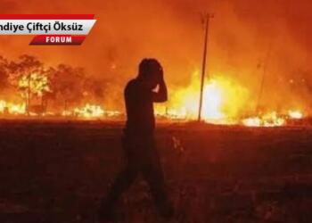 Hewar, Hewar: Kürt coğrafyasındaki yangın ve sessizliğin ardındaki gerçekler