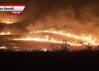 Alevler içinde kalan sadece ülkemiz değil yüreğimizdir