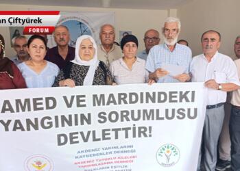 Mazıdağı-Çınar yangınında duyduklarım ve gördüklerim