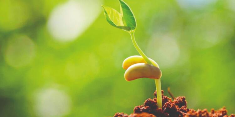 Devlet organları şirketlerin emrinde