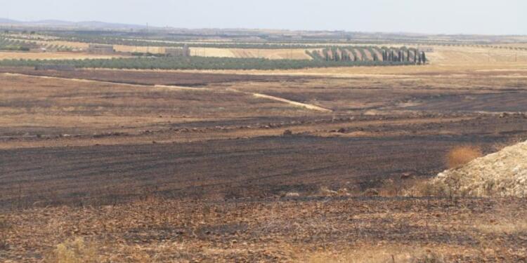 Rojava’da ekin tarlaları yakılarak halk göçe zorlanıyor