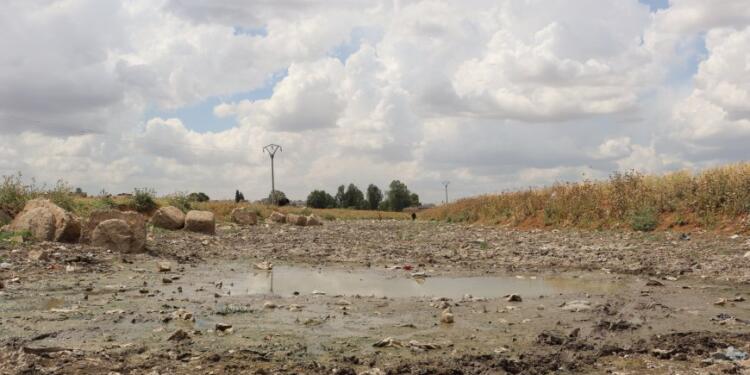 Suriye ve Rojava’yı çölleştiriyorlar