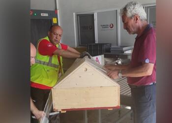 Açık yaraları ile kefenlenen Esen’in tabutundan damlayan kanlar streç filmle sarılarak engellenmeye çalışıldı.