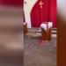 Türkiye Duhok’ta bir Asuri köyünü bombaladı: Kilise hedef alındı