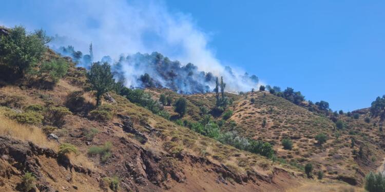 Semsûr’da elektrik tellerinden kaynaklı yangın