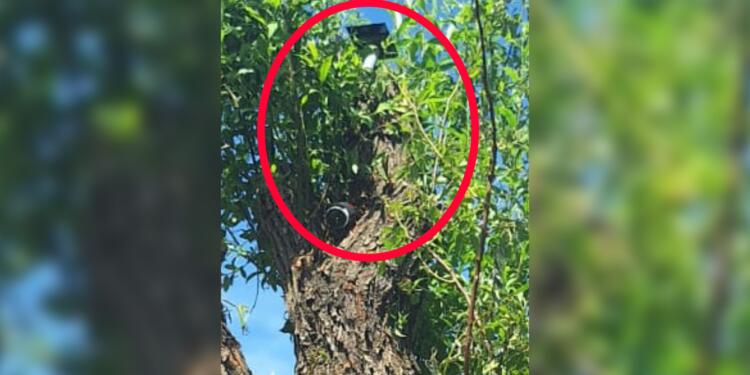 Mezranın çeşmesini kamerayla izliyorlar