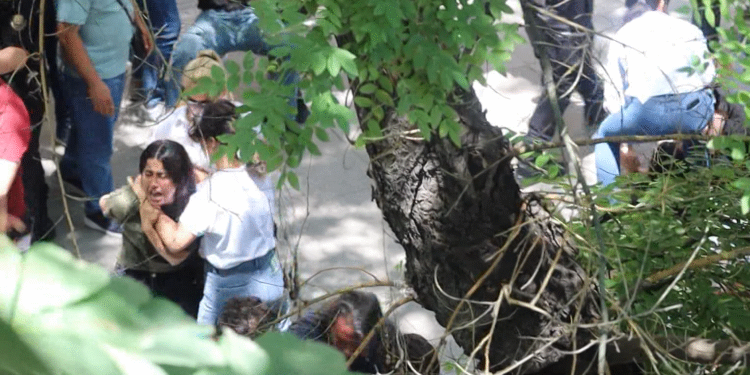 Cezaevlerindeki tecridi protesto eden TAYAD’lılar gözaltına alındı