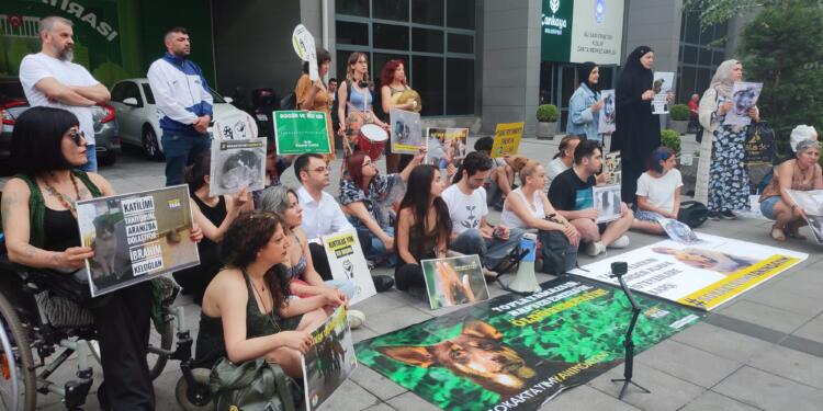 Yaşam İçin Yasa İnisiyatifi: Yasa tasarısını geri çekin