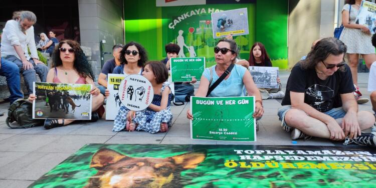 Hayvanlar için eylem: Devlet yangına seyirci kalıyor