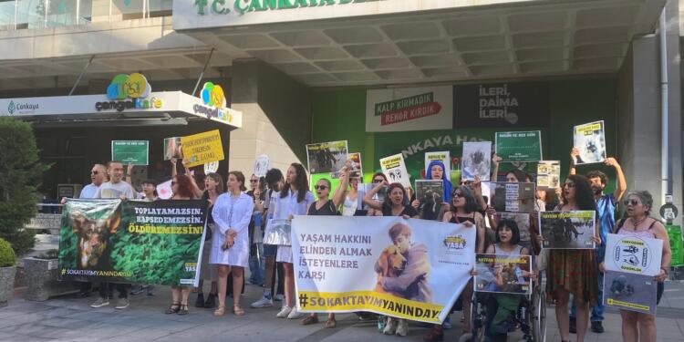 Veterinerler: Yaşatmak için yemin ettik, korumak için birlik oluyoruz