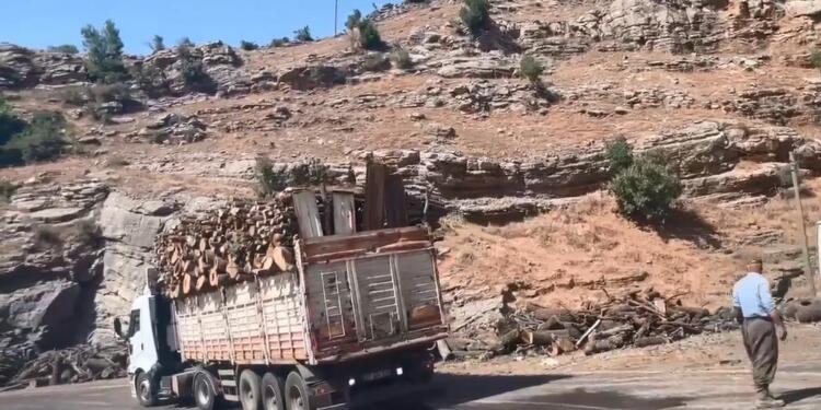 DEM Parti’li İrmez: AKP-MHP iktidarı doğaya karşı terör estiriyor