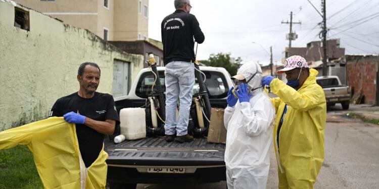 Brezilya’da Dang humması binlerce ölüme yol açtı