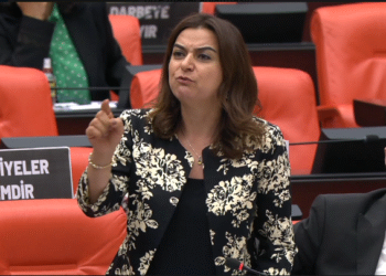 Gülistan Koçyiğit: Sırtımızı Hakkârililere dayıyoruz