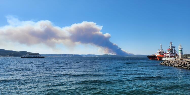Çanakkale’nin Eceabat ilçesinde yangın