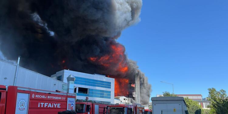 Fabrikadaki yangın ormanlık alana sıçradı