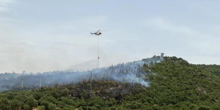 Orman yangınına müdahale eden uçak Bafa gölüne düştü