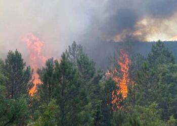Manisa’da yangın: Evlerinde içinde olduğu 300 hektarlık alan yandı