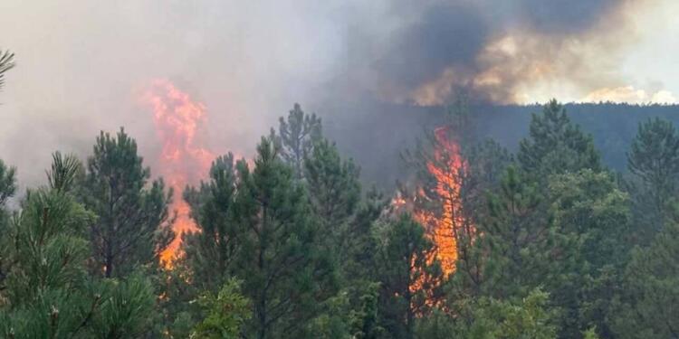 Manisa’da yangın: Evlerinde içinde olduğu 300 hektarlık alan yandı