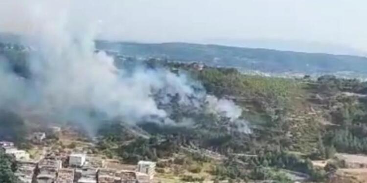 Bornova’da orman yangını