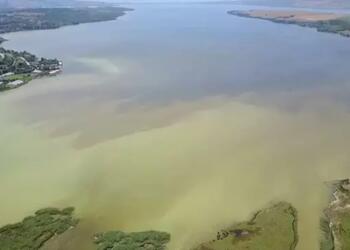 Çok özel bir ekosisteme sahip olan Küçükçekmece Lagünü aynı zamanda İstanbul'un önemli su havzası. Ancak lagün artık can çekişirken, atık sular göle bırakılmaya devam ediliyor.