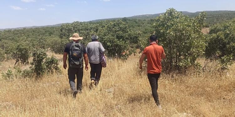 Bagok’taki yangın kontrol altına alındı