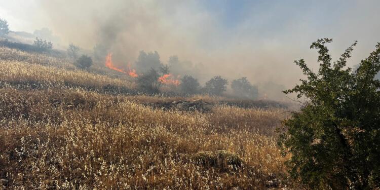 Kercews-Mîdyat arasında yangın