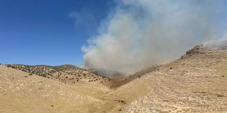 Mêrdîn’deki yangın yerleşim yerlerine ilerliyor