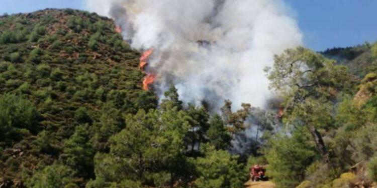 Adana ve İzmir’de orman yangını