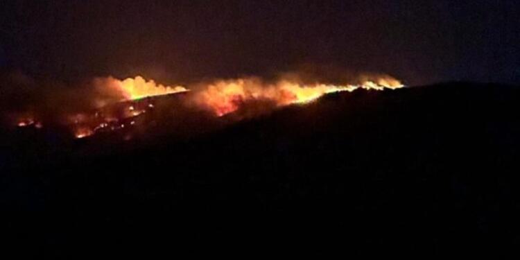 Şengal Dağı’nda yangın