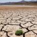 Çölleşme ve kuraklık tehdidi her geçen gün büyüyor