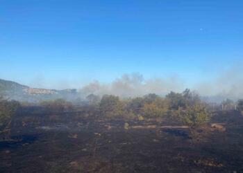 ÇANAKKALE’NİN AYVACIK İLÇESİNDE TARIM ARAZİSİNDE BAŞLAYAN VE ORMANLIK ALANA SIÇRAYAN YANGINA EKİPLER KONTROL ALTINA ALMAK İÇİN HAVADAN VE KARADAN MÜDAHALE EDİYOR. (İPEK YAVAŞ/ÇANAKKALE-İHA)