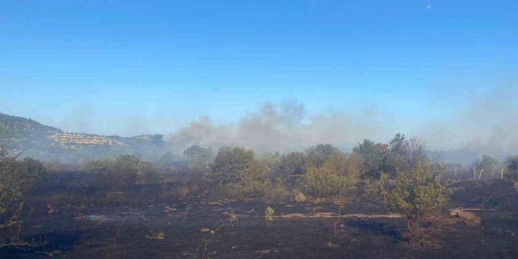 Bigadiç ve Ayvacık’ta yangınlar ormanlık alanlara sıçradı