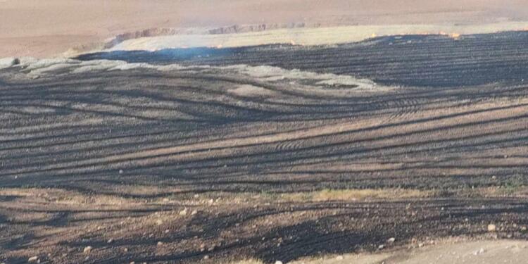 Süleymaniye’de yangın: Bin 500 dönüm arazi yandı
