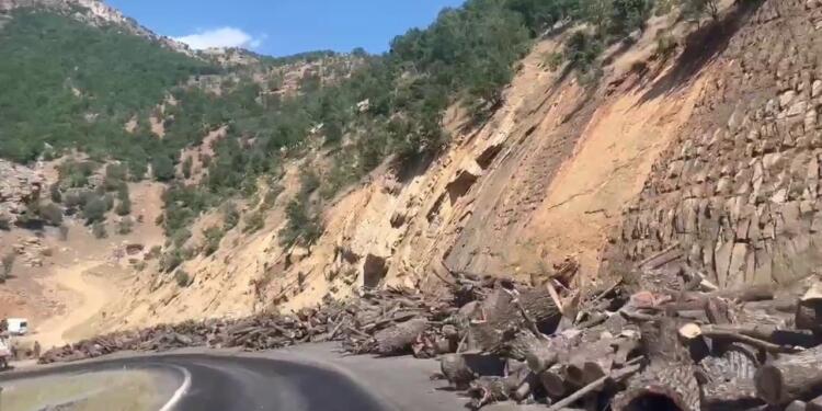 Elkê’de şimdi de ağaç kesimi başladı