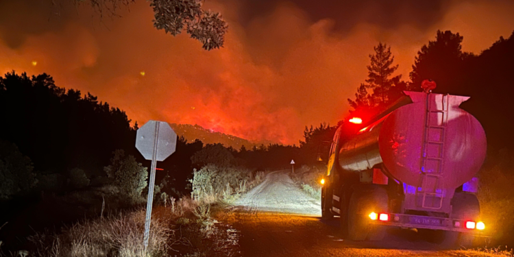 Uşak’taki orman yangını kontrol altına alındı