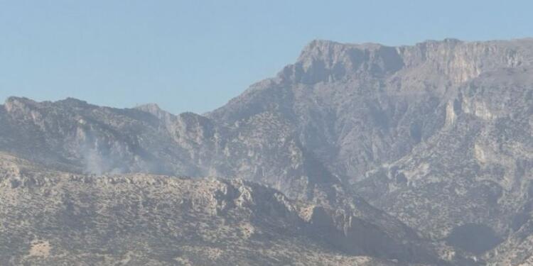 Cudi’de ekolojik katliam devam ediyor