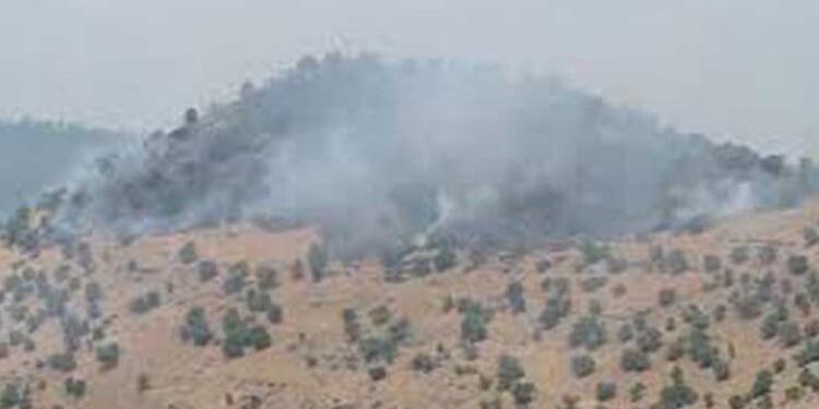 Türkiye’nin Metîna’yı bombalaması sonucu bölgede yangın çıktı